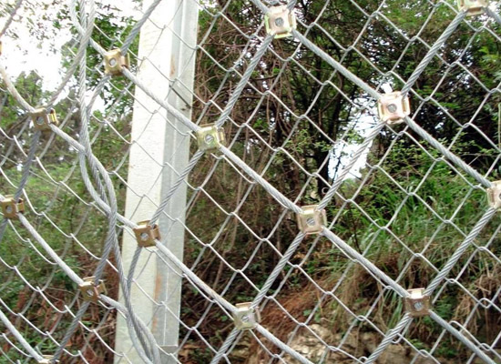 邊坡防護(hù)網(wǎng)